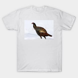 Wild Turkey...Wild Colours T-Shirt